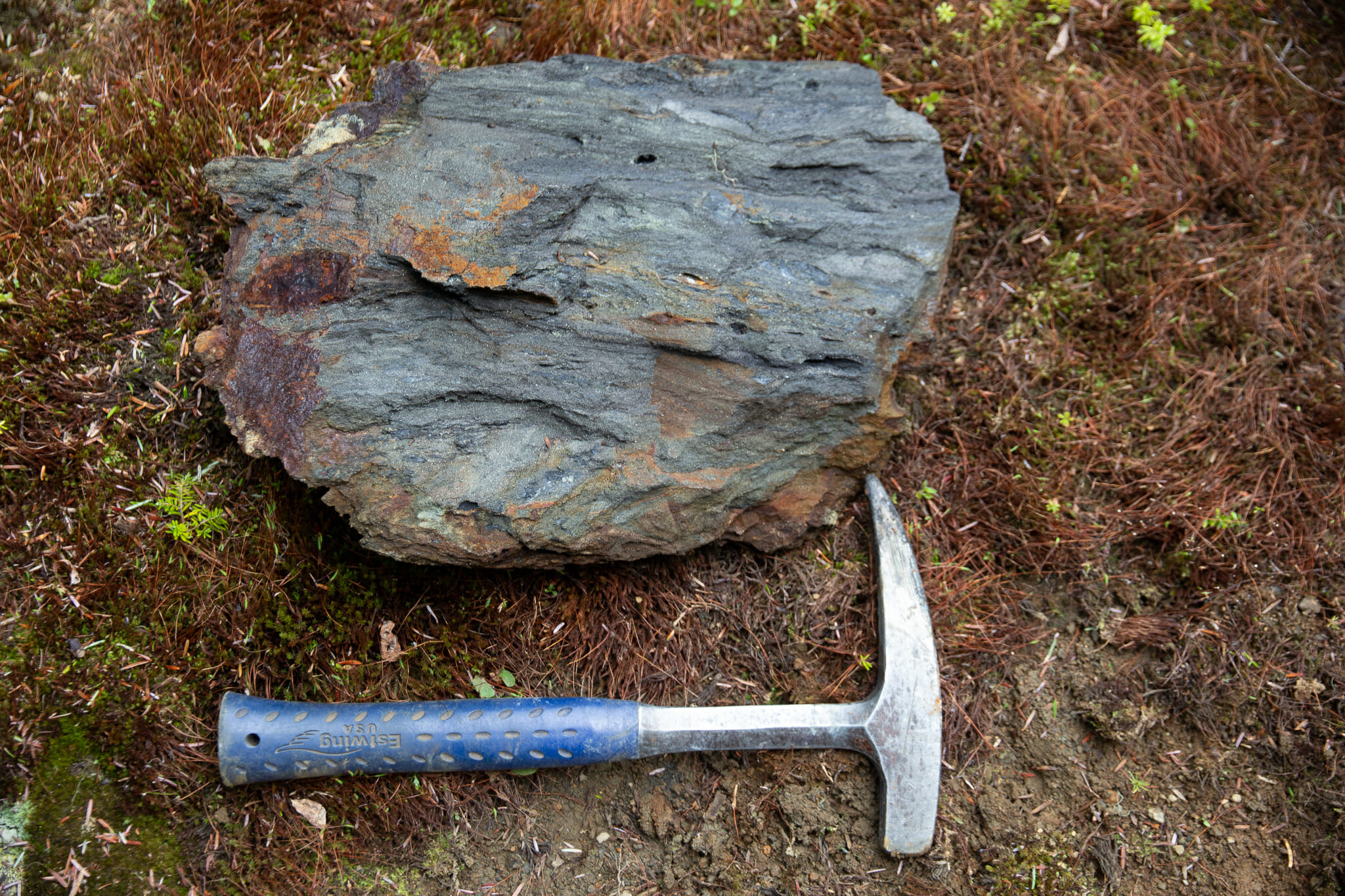 Massive Sulphide from the Black Dog Showing. All the sulphide minerals make this rock on stinky specimen